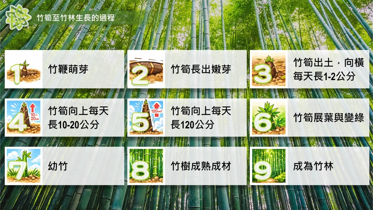 本頁圖片/檔案 - 投影片10